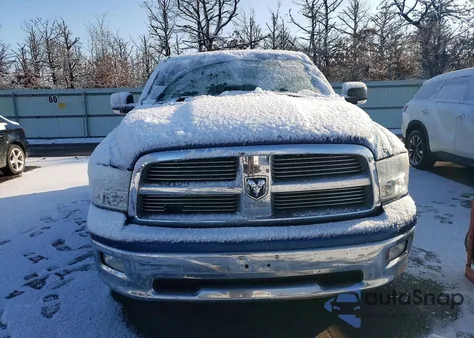 2010 Dodge Ram 1500 из США, поврежденный, VIN 1D7RV1CT7AS239092